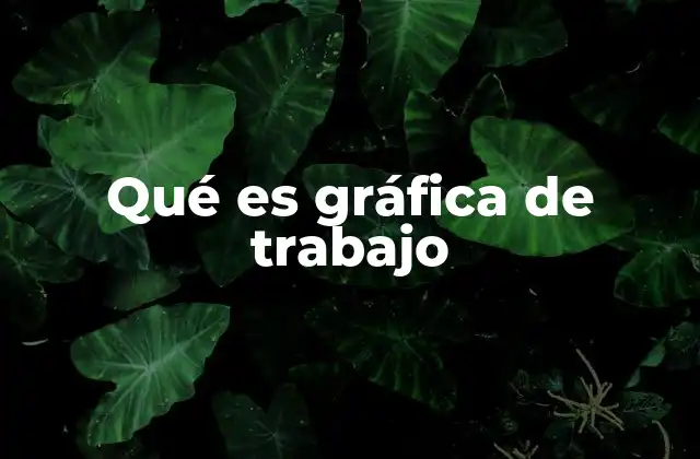 Qué es Gráfica de Trabajo