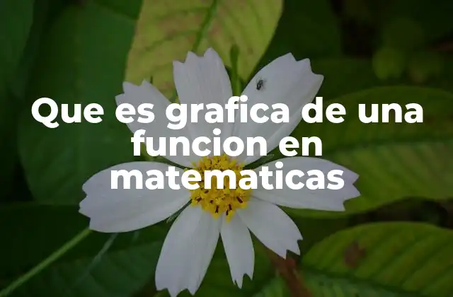 Que es Grafica de una Funcion en Matematicas