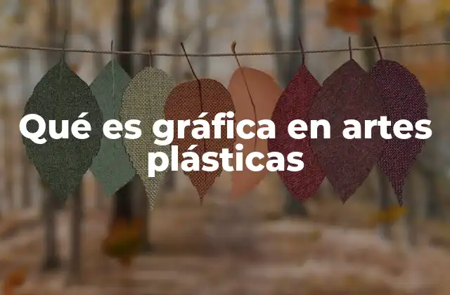 Qué es Gráfica en Artes Plásticas