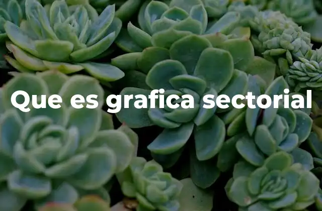 Que es Grafica Sectorial