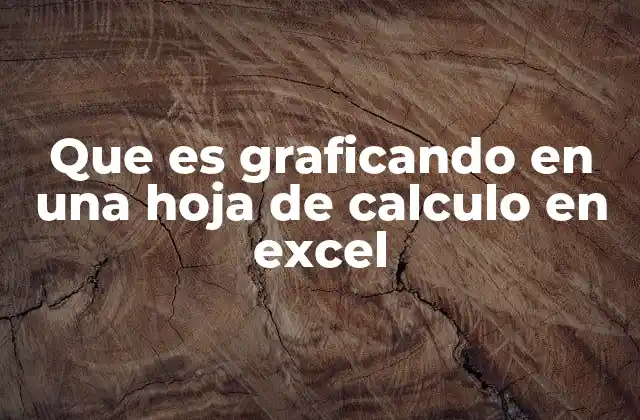 Que es Graficando en una Hoja de Calculo en Excel