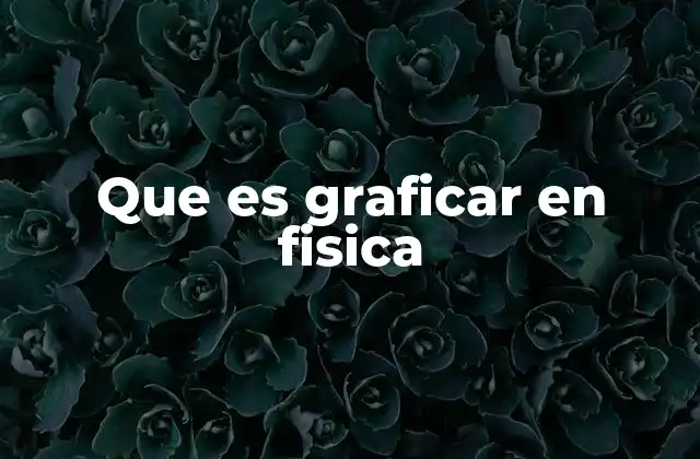 Que es Graficar en Fisica