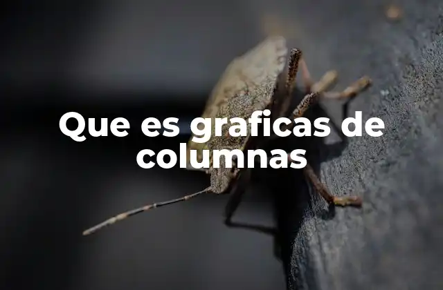 Que es Graficas de Columnas