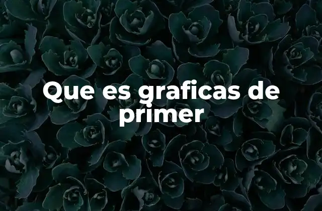Que es Graficas de Primer