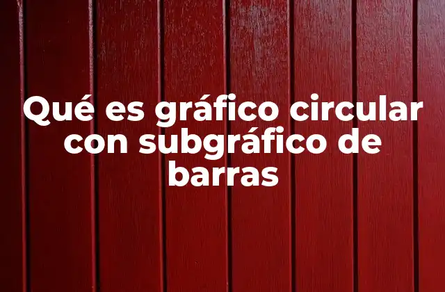 Qué es Gráfico Circular con Subgráfico de Barras