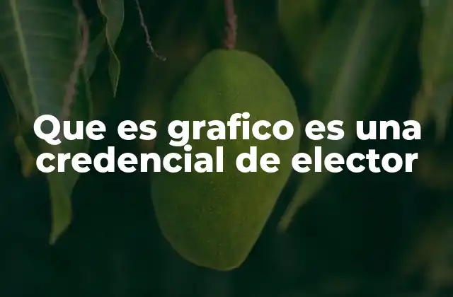 Que es Grafico es una Credencial de Elector