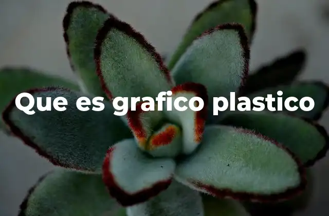 Que es Grafico Plastico
