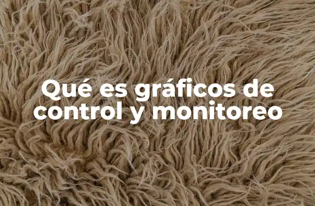 Qué es Gráficos de Control y Monitoreo