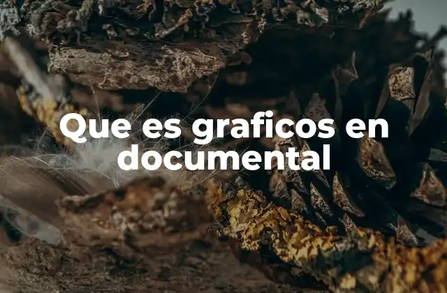 Que es Graficos en Documental 2 La importancia de los gráficos en la narración audiovisual
