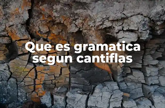 El lenguaje creativo de Cantiflas