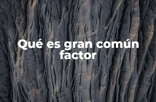 Qué es Gran Común Factor 2 El papel del máximo común divisor en las matemáticas