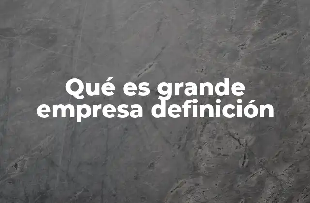 Qué es Grande Empresa Definición