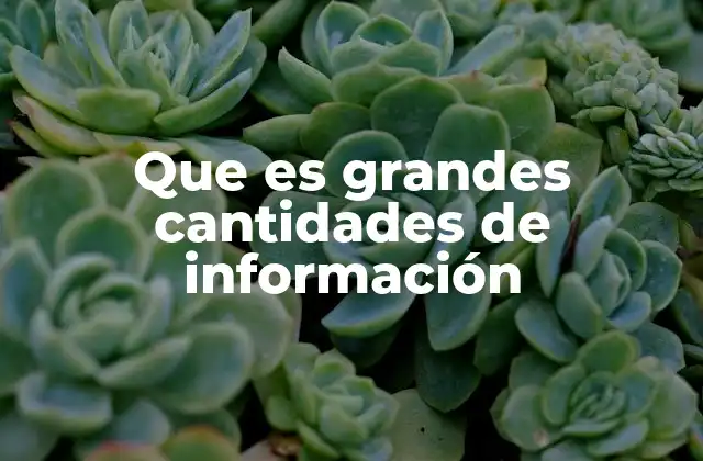 Que es Grandes Cantidades de Información 2 El impacto del manejo de grandes cantidades de información en la sociedad