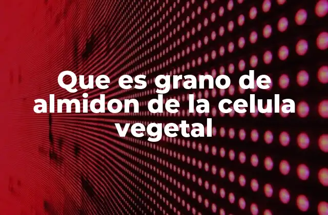 Que es Grano de Almidon de la Celula Vegetal