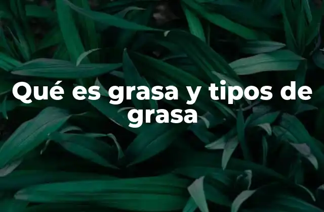 Qué es Grasa y Tipos de Grasa