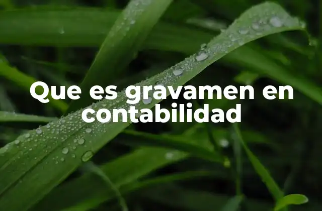 Que es Gravamen en Contabilidad