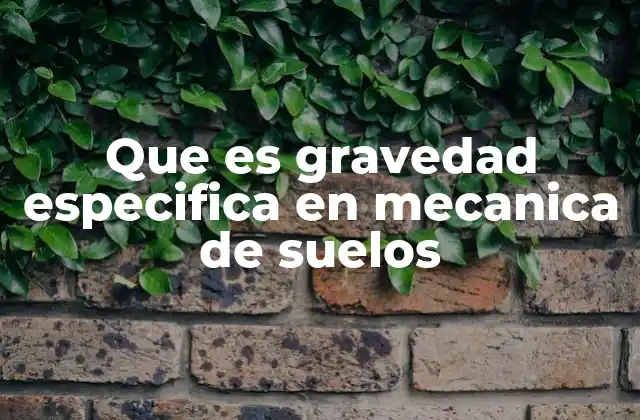 Que es Gravedad Especifica en Mecanica de Suelos