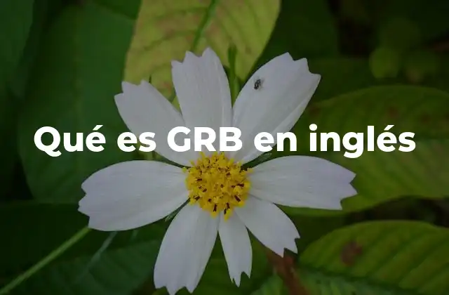 Qué es Grb en Inglés