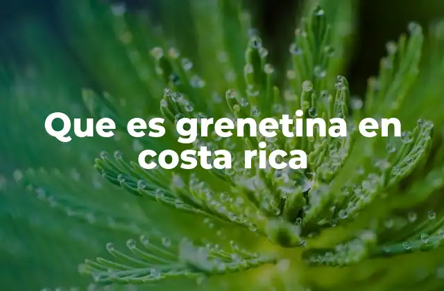 Que es Grenetina en Costa Rica