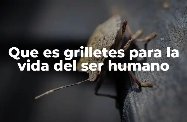 Que es Grilletes para la Vida Del Ser Humano