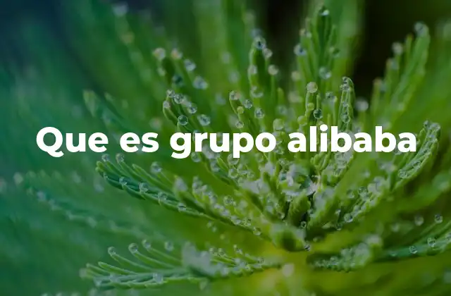 Que es Grupo Alibaba