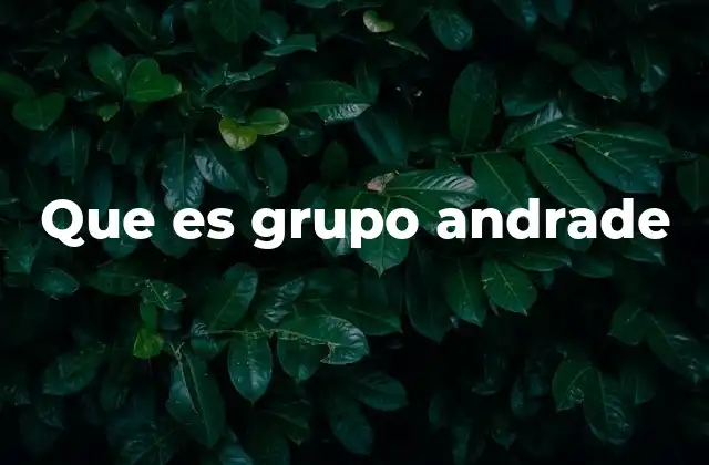Que es Grupo Andrade