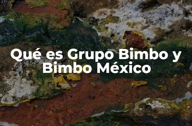 Qué es Grupo Bimbo y Bimbo México