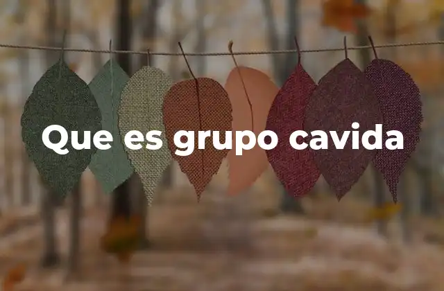 Que es Grupo Cavida
