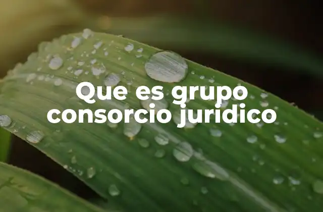 Que es Grupo Consorcio Juridico