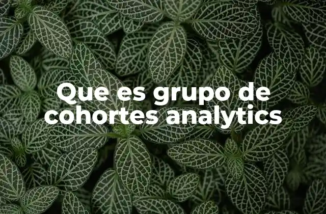 Que es Grupo de Cohortes Analytics