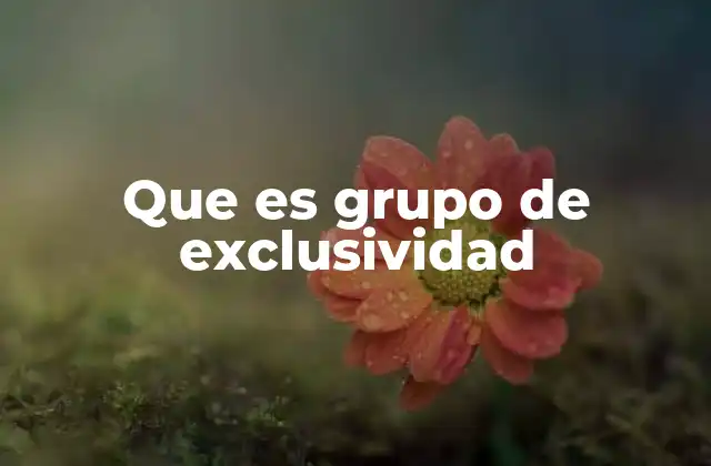 Que es Grupo de Exclusividad