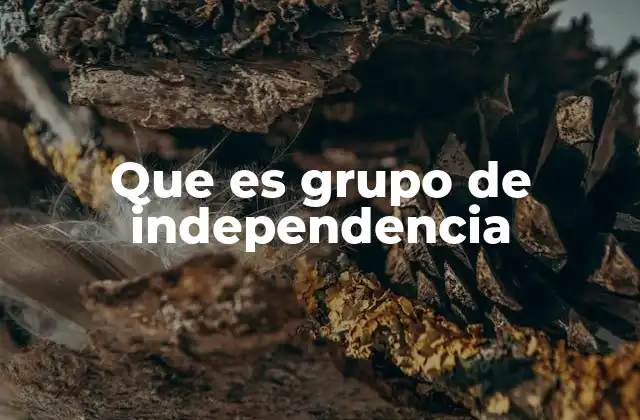 Que es Grupo de Independencia