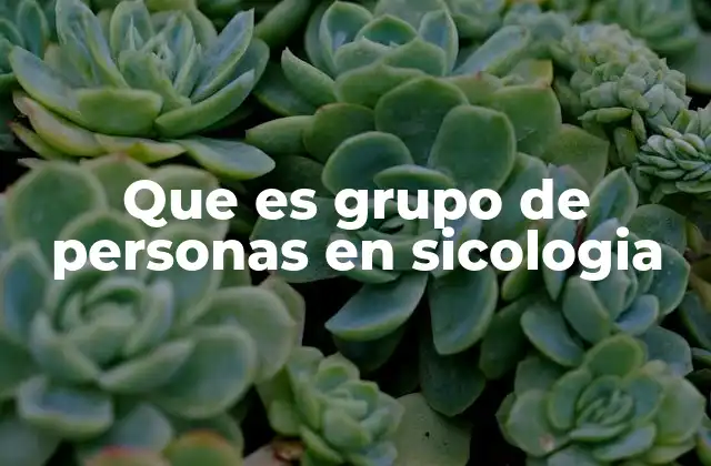 Que es Grupo de Personas en Sicologia