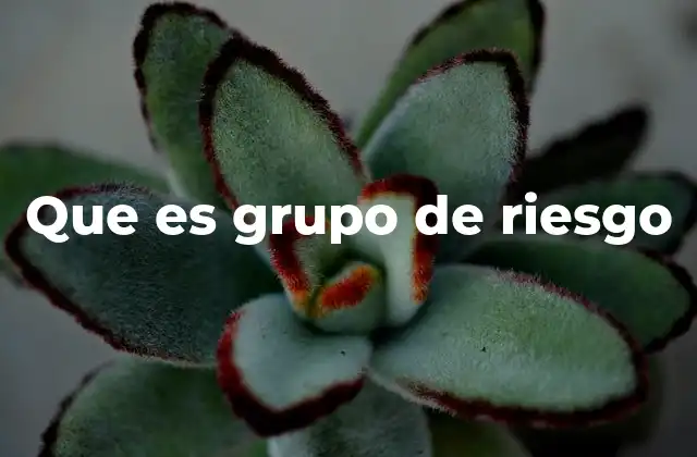 Que es Grupo de Riesgo