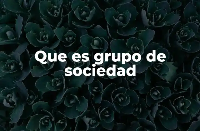 Que es Grupo de Sociedad