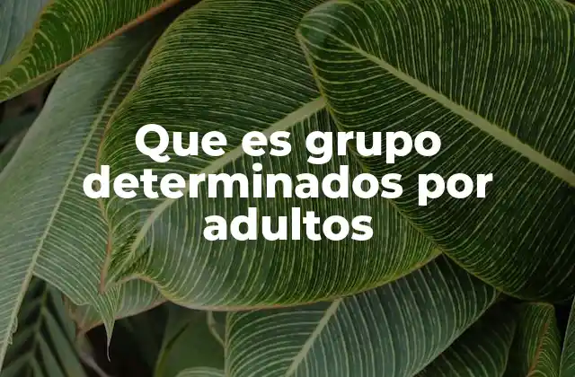 Que es Grupo Determinados por Adultos