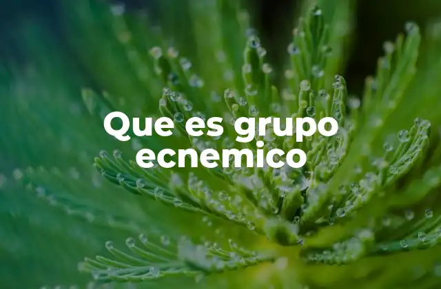 Que es Grupo Ecnemico