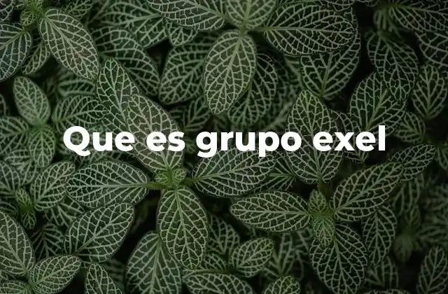 Que es Grupo Exel