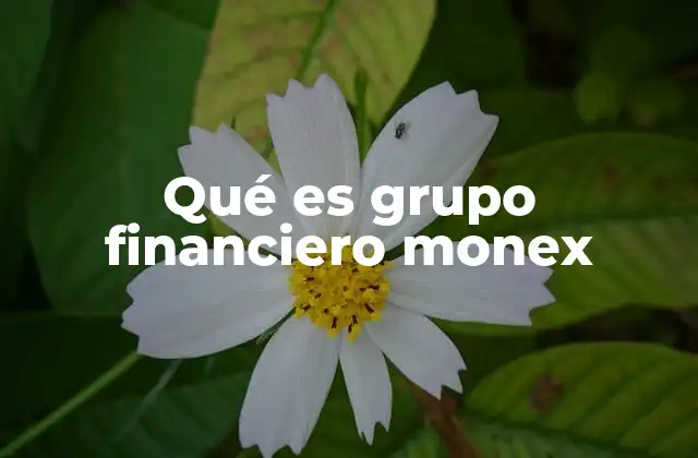 Qué es Grupo Financiero Monex