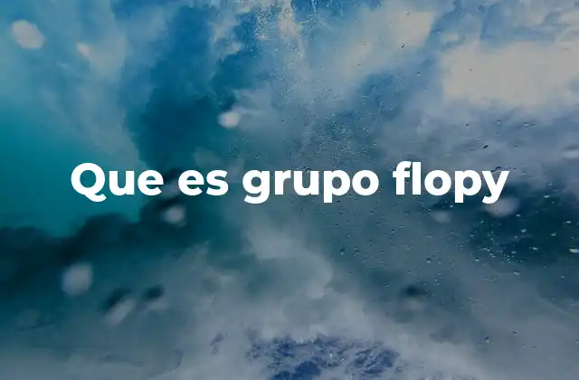 Que es Grupo Flopy