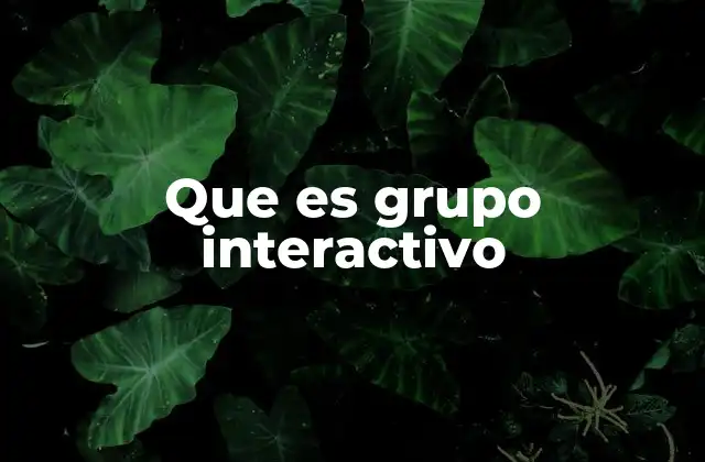 Que es Grupo Interactivo