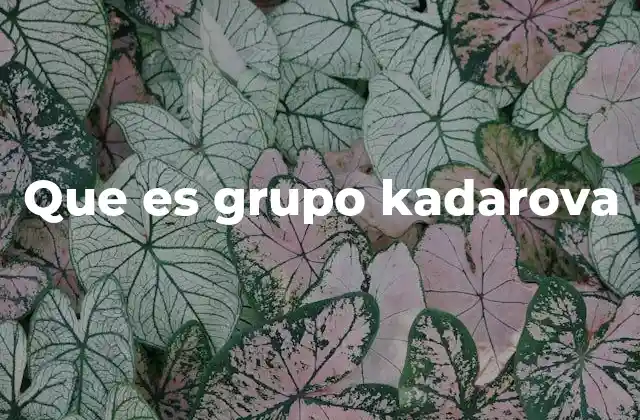 Que es Grupo Kadarova