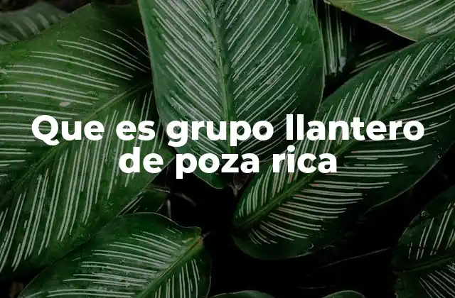 Que es Grupo Llantero de Poza Rica