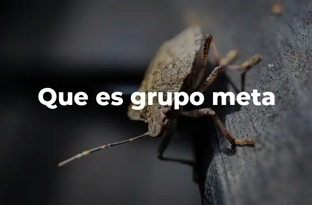 Que es Grupo Meta
