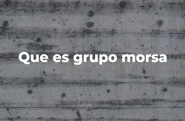 Que es Grupo Morsa