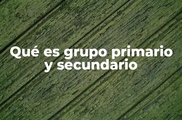 Qué es Grupo Primario y Secundario
