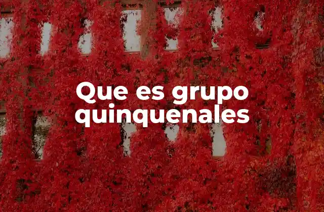 Que es Grupo Quinquenales