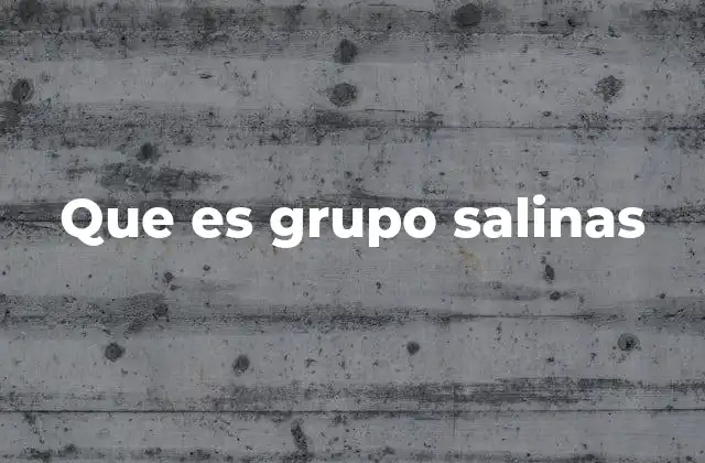 Que es Grupo Salinas