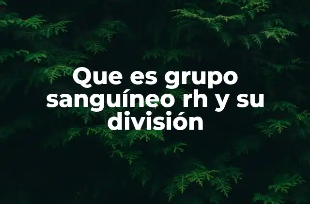 Que es Grupo Sanguíneo Rh y Su División