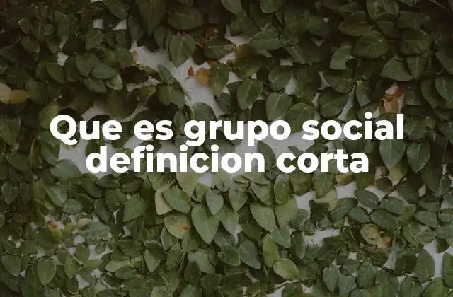 Que es Grupo Social Definicion Corta